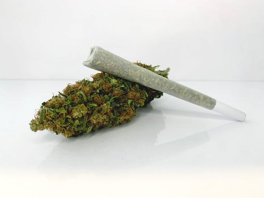 Pre-rolled Blue Dream THC-X